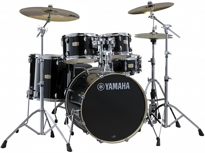  Stage Custom Birch-photo